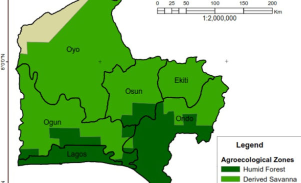 2023: Groups, CSOs Target 40 Million Voters In South West To Show Numerical Strength￼