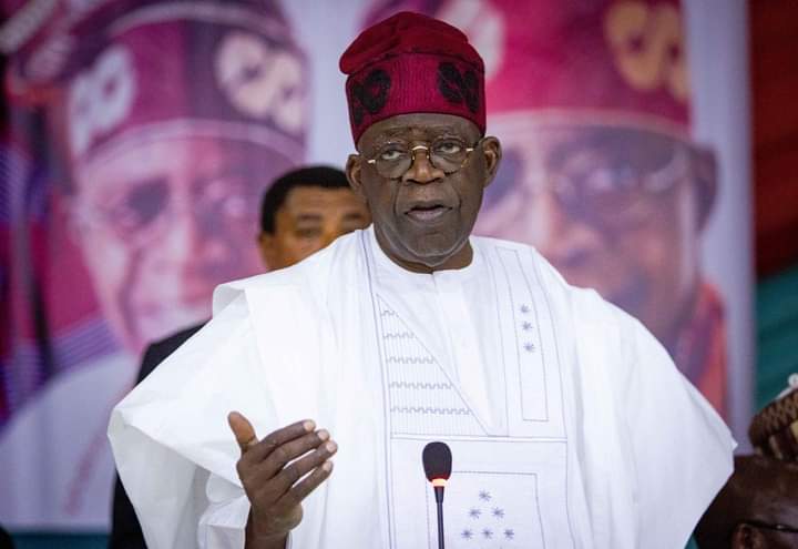 AYDM honors President Bola Tinubu, Fayemi and others for ‘contribution’ to June 12 struggle